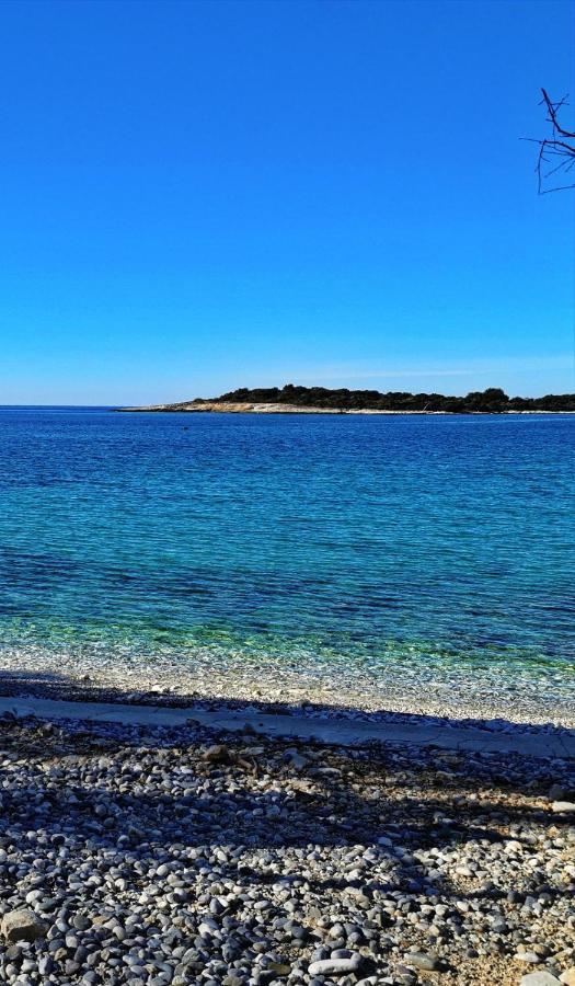 Black Pearl - Luxury Seaside App With Pool & Bbq, Istra Banjole Eksteriør billede