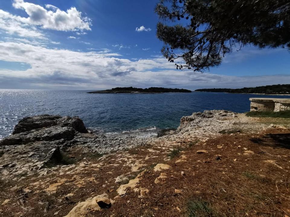 Black Pearl - Luxury Seaside App With Pool & Bbq, Istra Banjole Eksteriør billede