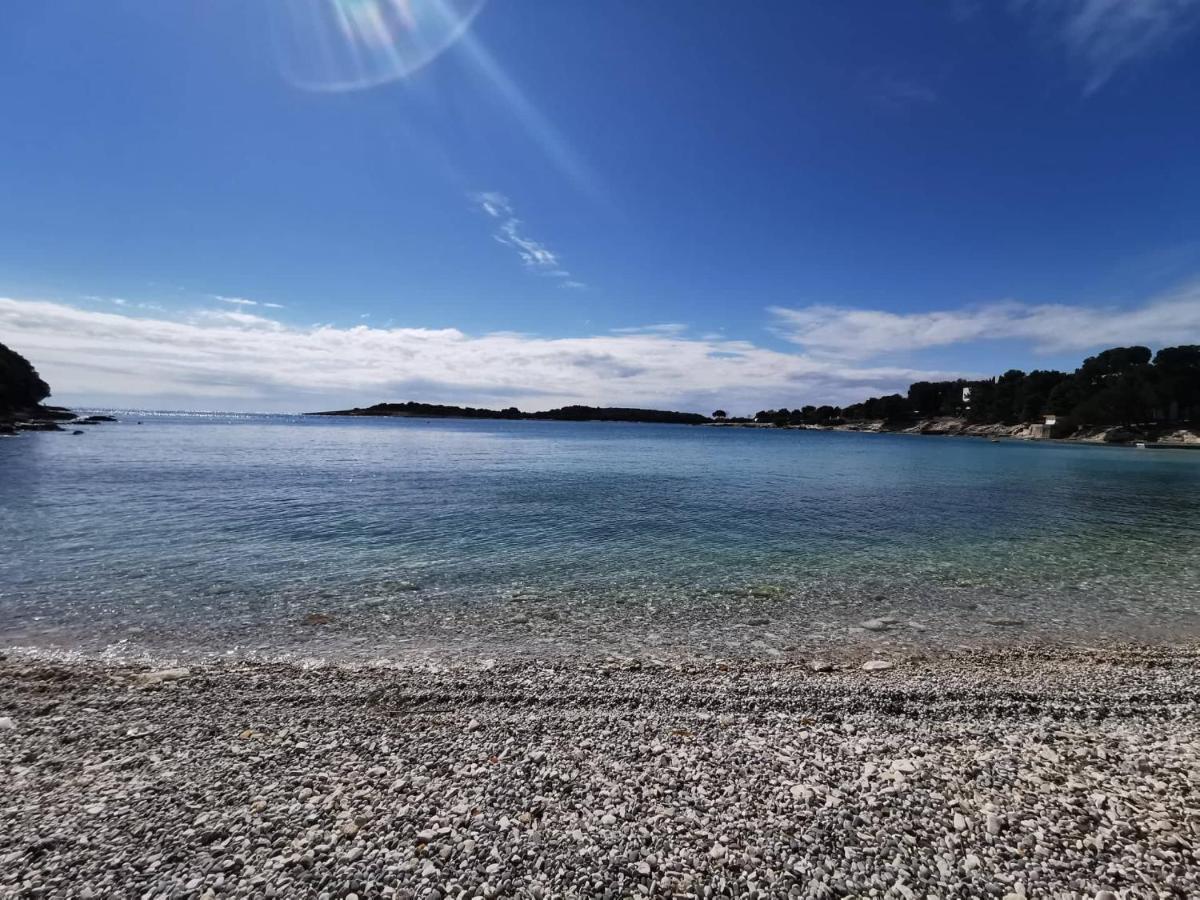 Black Pearl - Luxury Seaside App With Pool & Bbq, Istra Banjole Eksteriør billede