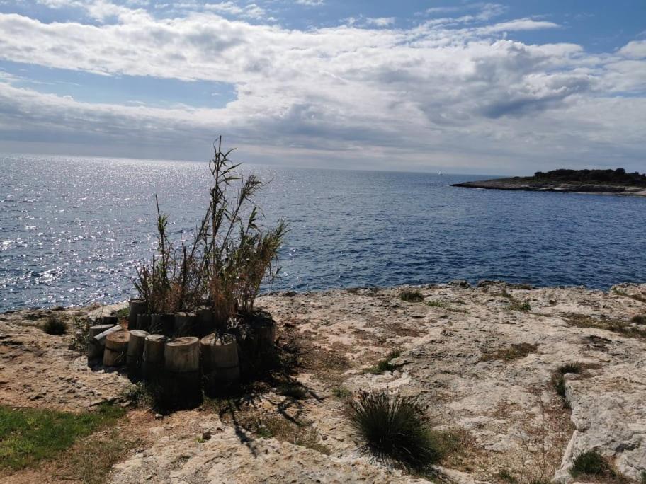 Black Pearl - Luxury Seaside App With Pool & Bbq, Istra Banjole Eksteriør billede