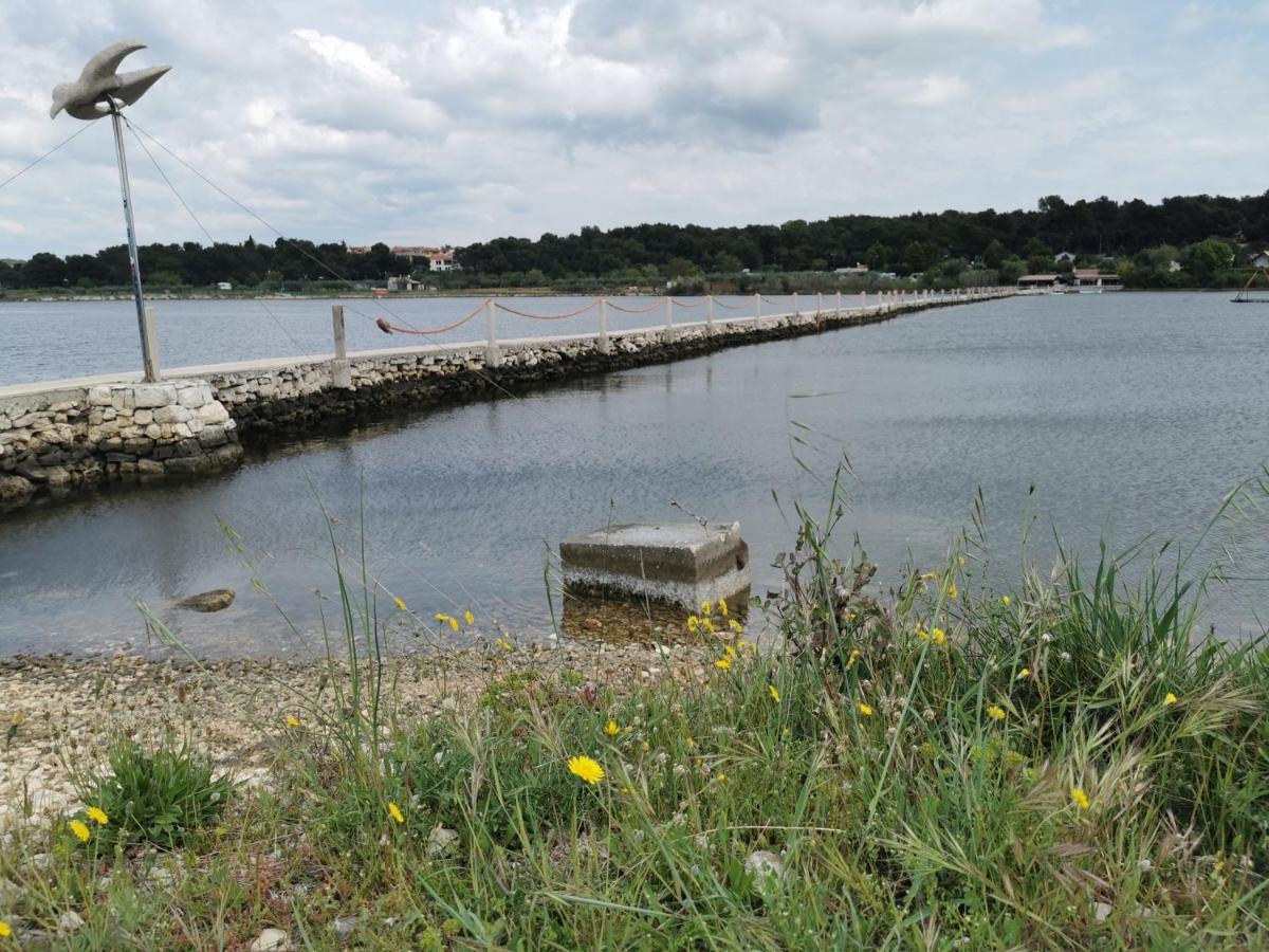 Black Pearl - Luxury Seaside App With Pool & Bbq, Istra Banjole Eksteriør billede
